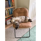 ZonLi Adjustable Floor Chair with Back Support